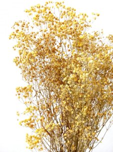 Nevěstin závoj/stabilizovaná Gypsophila svazek/kytice žlutá