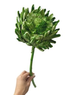 Sušený artičok XL svetlo zelený 30-40cm, kvet Ø 10-12cm