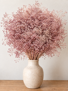 Stabilizovaná mini Gypsophila svazek nostalgia rose