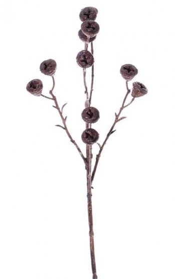 Sušené plody eukalyptu větvička umělá, 63cm