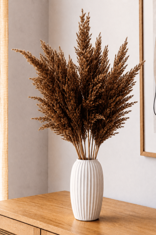 Sušená pampová tráva (pampas)  hnedá 10ks, 50-60cm
