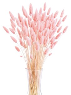 Sušený lagurus (králičí ocásek) světle růžový/soft pink