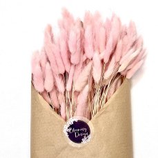 Sušený lagurus (králičí ocásek) baby pink/ světle růžová