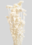 Lonas (brienok) bielený sušený, zväzok/kytica