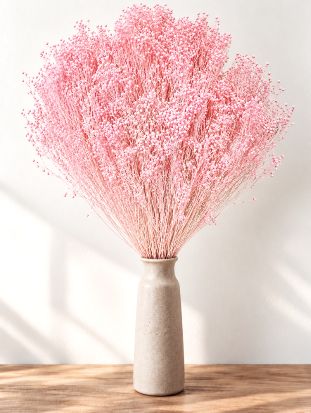 Stabilizovaný Broom Bloom svetlo  ružový, kytica/zväzok - Balenie: 100g