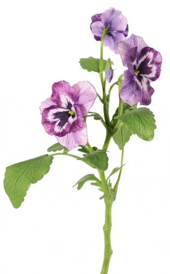 Maceška/violka fialová žíhaná 3 květy, jako opravdová, 35cm