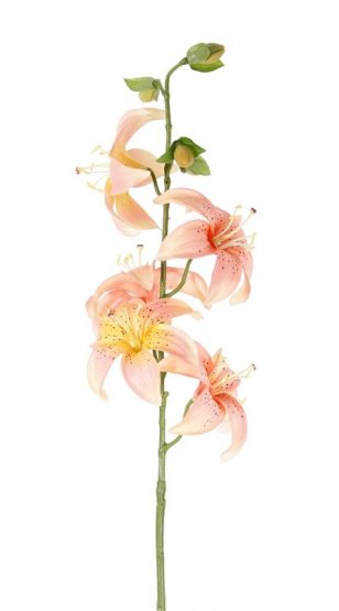 Lilie umělá na stonku 5 květů Ø 8cm meruňková, 4 poupata, 64cm