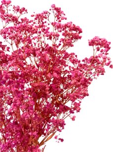 Nevěstin závoj/stabilizovaná Gypsophila svazek/kytice CYKLÁMOVÁ