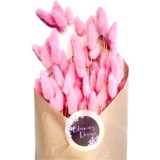 Sušený lagurus (králičí ocásek) PINK