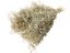 Stabilizovaná mini Gypsophila svazek/kytice přírodní béžová - Balení: 45g