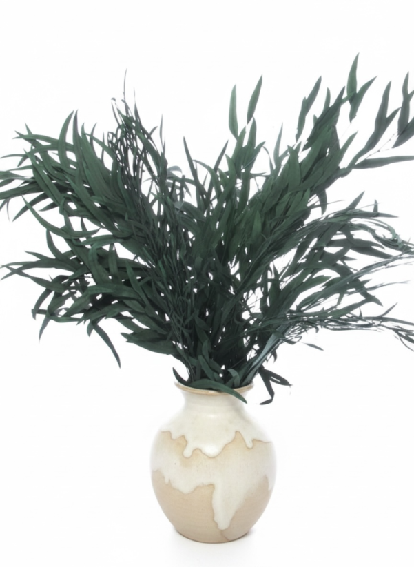 Stabilizovaný eukalyptus globulus (Nicoly), kytice/svazek zelených větvičk
