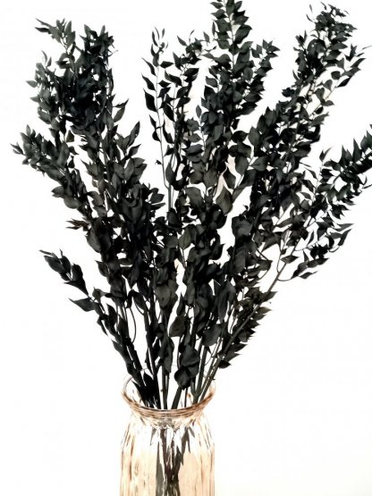 Stabilizovaný ruskus (ruscus) kytice/svazek černých větviček