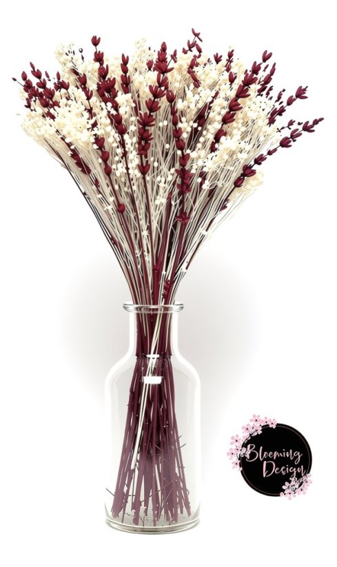 Kytice ze stabilizované levandule a sušeného broom bloom, červená/bílá