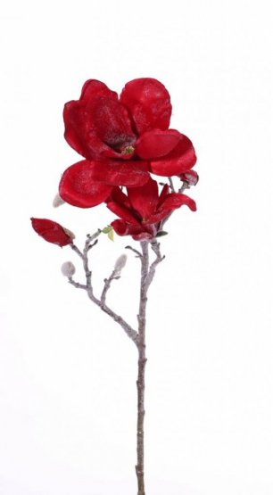 Magnólia vetvička umelá červená 2 kvety, púčiky, 60cm
