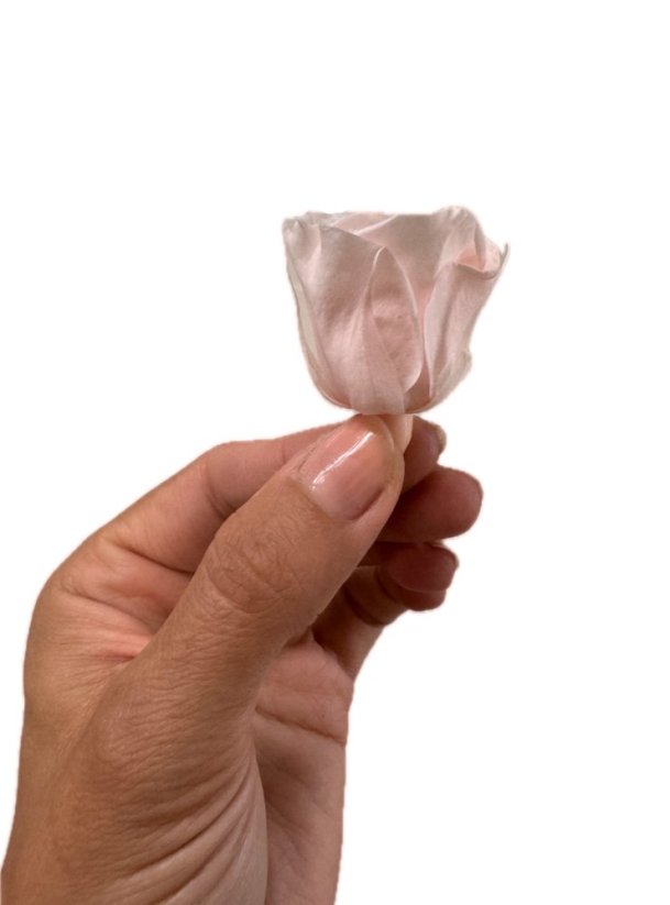 Stabilizovaná růže KIARA  M světle růžová/baby pink (hlava)