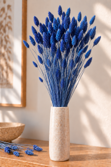 Sušený phalaris kytica/zväzok tmavo modrý/indigo blue