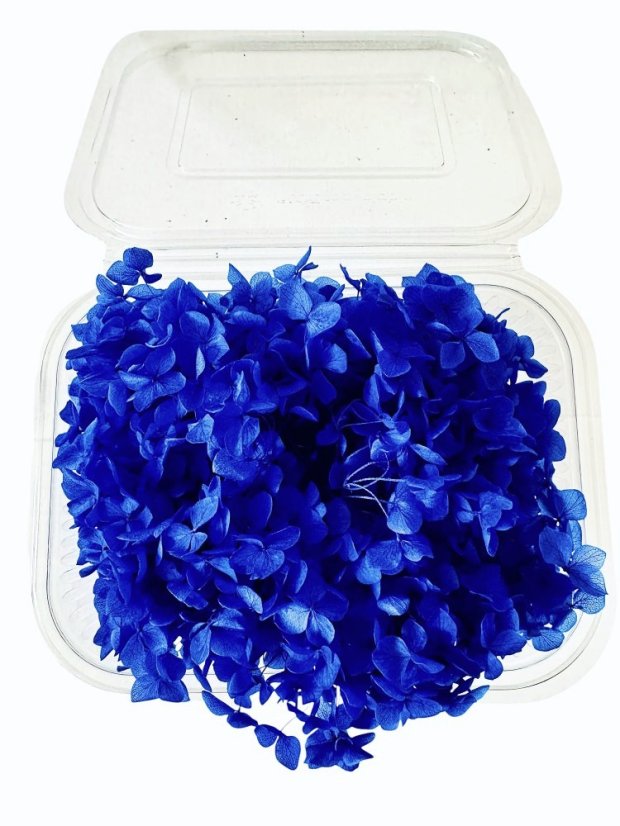 Stabilizovaná hortenzia CABEZA tmavo modrá indigo KVETY 15g
