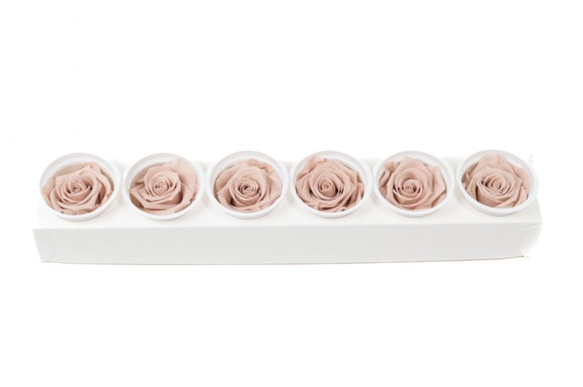 Stabilizovaná růže KIARA XL sepia rose (hlava)