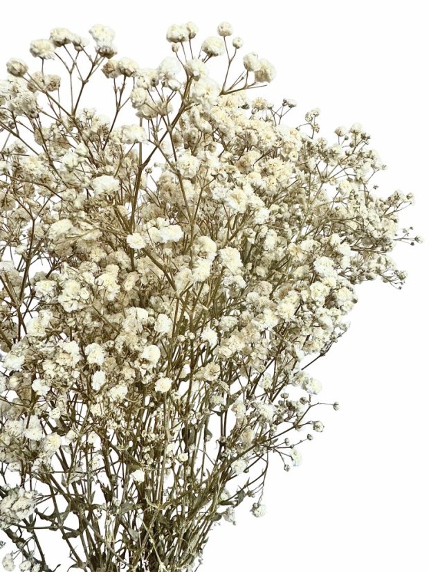 Nevěstin závoj/stabilizovaná Gypsophila zväzok/kytica prýrodná biela/kremová