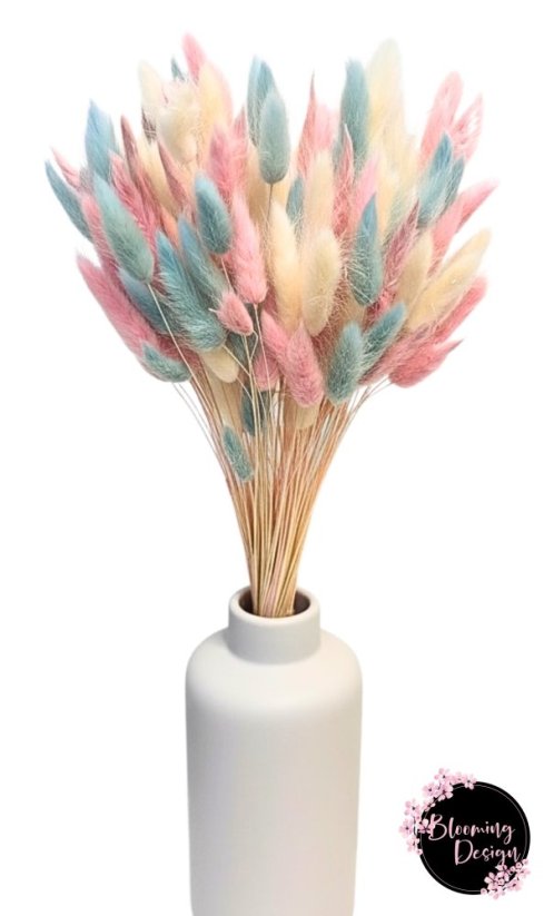 Sušená kytica 100ks zajačieho chvostíka, baby blue/zv. ružová/biela