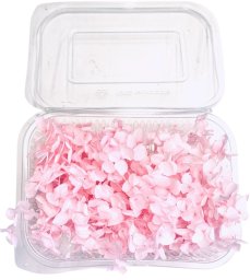 Stabilizovaná hortenzia CABEZA svetlo ružová KVETY 10g