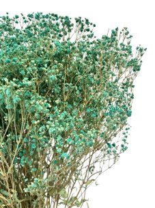 Nevěstin závoj/stabilizovaná Gypsophila svazek/kytice zelenomodrá