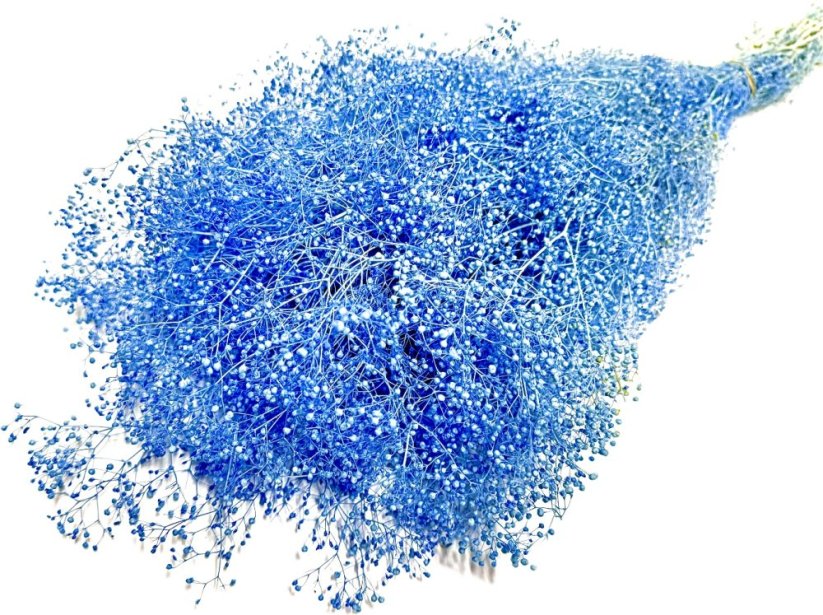 Stabilizovaná mini Gypsophila zväzok/kytica modrá - Balenie: 90g-95g