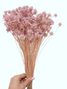 Sušená květina Hill Flower pastelově růžová/lila svazek