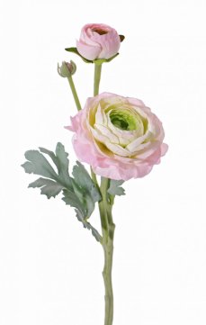 Ranunkulus/pryskyřičník květ Ø9cm, poupě Ø4cm, pupen, hebký stonek s listy, 40cm SVĚTLE RŮŽOVÝ