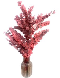 Stabilizovaný eukalyptus STUARTINA, kytica/zväzok vinová/červená