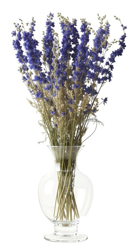 Sušená ostrôžka (Delphinium) modrá zväzok