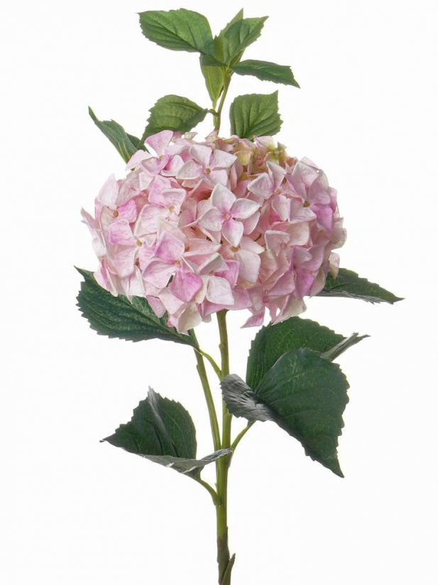 Hortenzie 'jumbo' premium kvalita umělá, světle růžová Ø 25cm 105cm