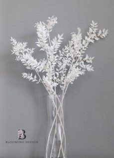 Stabilizovaný ruskus (ruscus) kytica/zväzok bielený SUPER WHITE