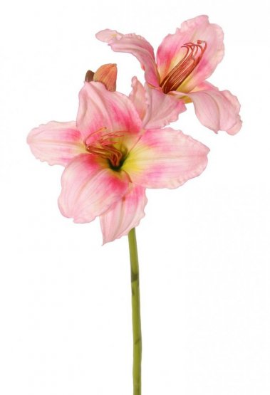 Daylily/ denivka lilie umělá starorůžová 65cm