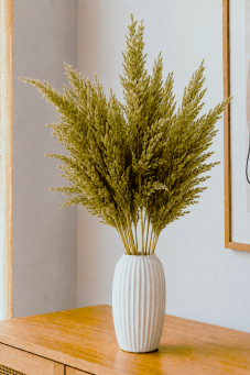 Sušená pampová tráva (pampas) světle zelená 10ks, 50-60cm