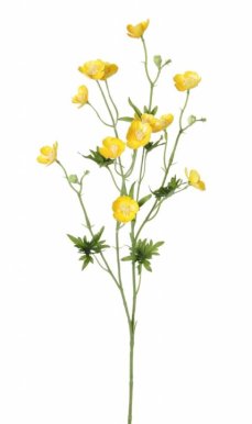 Ranunkulus/pryskyřičník pravý 12 květů, 68cm ŽLUTÝ