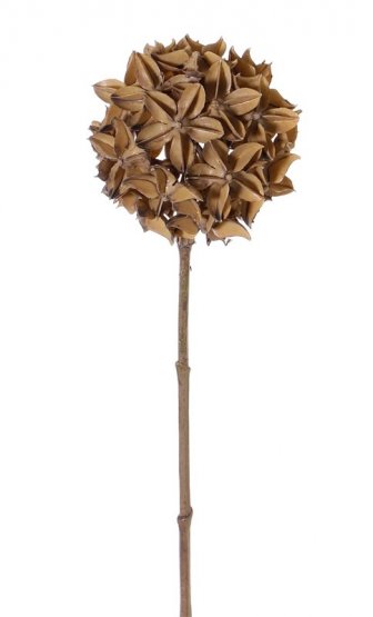 'Sušený' anýz imitace, dekorativní koule umělá Ø 10cm, béžová, na stonku 70cm