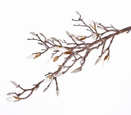Magnolie umělá větev s pupeny (kočičky) a poupaty XL 104cm