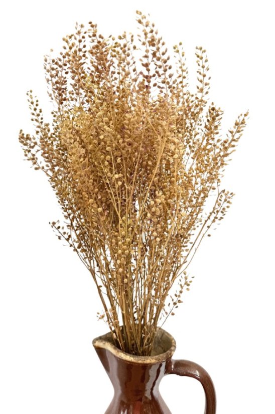 Žerucha (Lepidium) prírodná sušená zväzok