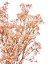 Nevěstin závoj/stabilizovaná Gypsophila zväzok/kytica SVETLO RUŽOVÁ - Balenie: 100g