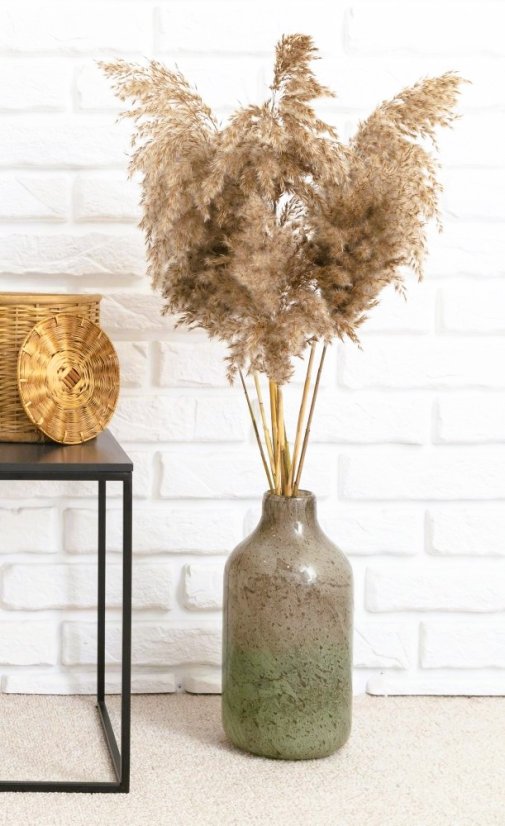 Sušená pampová tráva (pampas) přírodní odstín svazek 10ks, 80-90cm