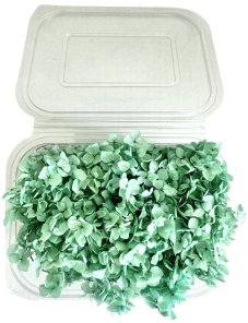 Stabilizovaná hortenzie CABEZA modrozelená KVĚTY 15g