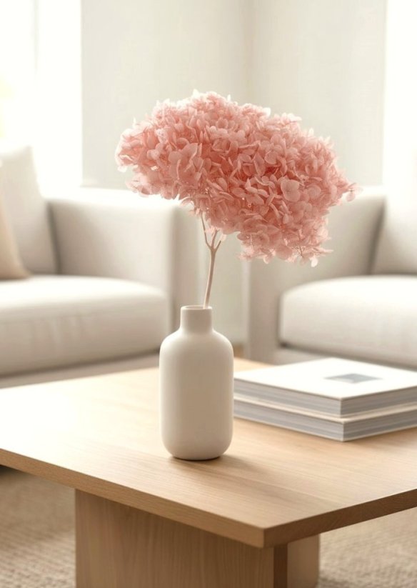 Stabilizovaná hortenzia CABEZA pastelovo ružová, soft pink XL