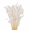 Sušený lagurus (králičí chvostík) bielený