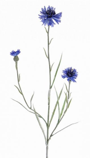 Chrpa modrá větvička 2 květy, 1 poupě, hebký stonek s listy, jako skutečná, 70cm