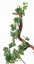 Girlanda vínnej révy umelá, vetvička o delce 150cm, 74 listov