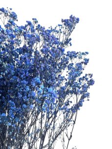 Nevěstin závoj/stabilizovaná Gypsophila zväzok/kytica MODRÁ