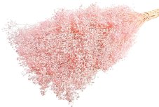 Stabilizovaná mini Gypsophila svazek/kytice světle růžová