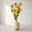 Helichrysum, slamienka žltá