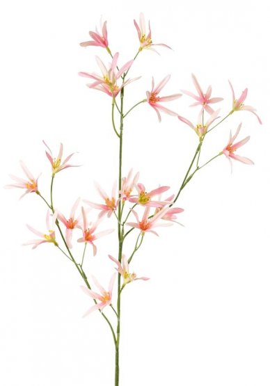 Tvídie větvička SVĚTLE RŮŽOVÁ, 21 květů, 73cm